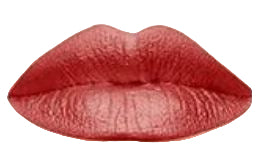 ELIL Velvet Matte Liquid Lipstick